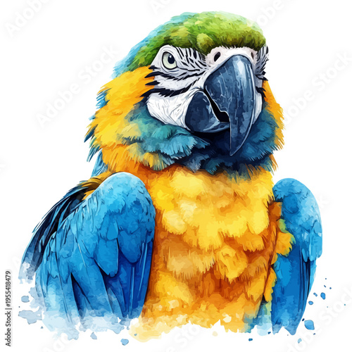 Blue-and-yellow Macaw, detailed watercolor painting, isolated on a white background.