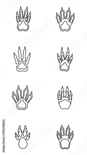 Collection of diverse animal paw print outline icons representing nature and wildlife illustrations