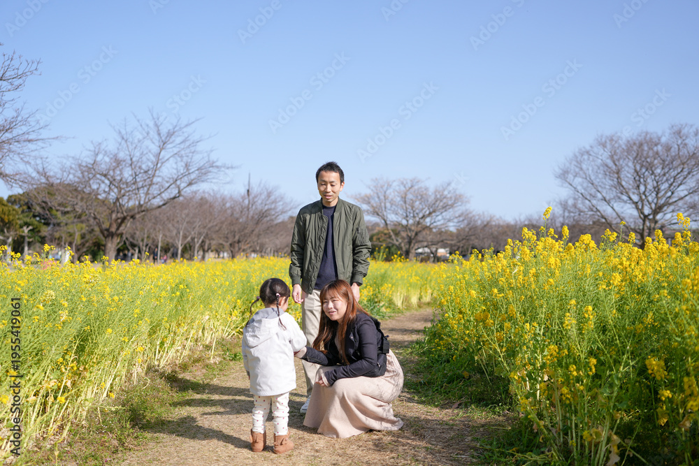 Naklejka premium Family enjoys sunny day in golden flower field. Parents smile warmly beside child on dirt path. Bright yellow blooms surround them, framing the scene. Clear blue sky enhances peaceful