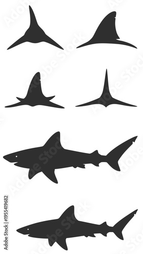 Collection of stylized shark silhouettes and fins for aquatic theme designs
