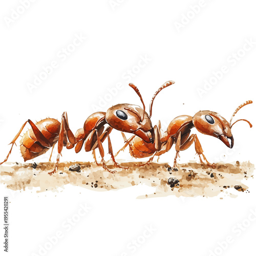 Ant Farm, vibrant watercolor vector, isolated on a white background, high quality and detailed design.