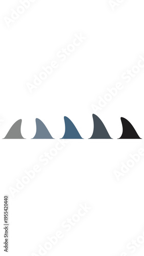 Diverse shades of shark fins breaking the surface of the water in a row