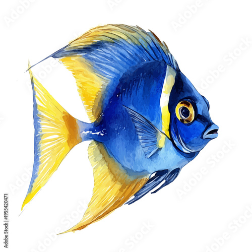 Angelfish, beautiful watercolor illustration, isolated on a white background, soft and delicate colors.