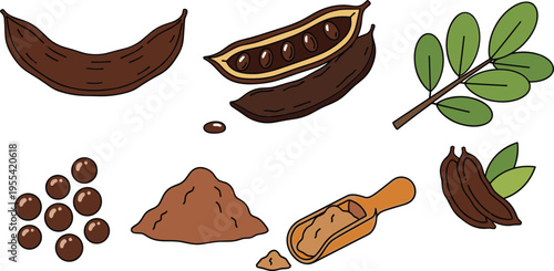 Cocoa and chocolate ingredients illustration set with cacao pods beans powder and plant leaves for food and dessert collection