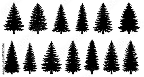 Pine and Spruce Tree Silhouette Collection Forest Conifer Vector Set