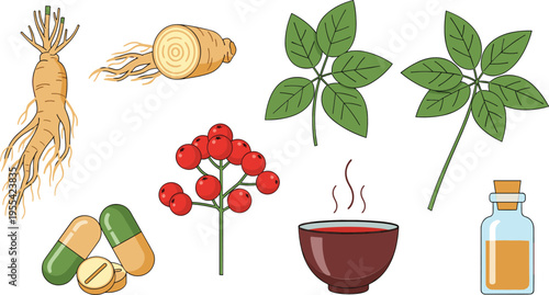 Ginseng herbal medicine illustration set with roots berries leaves capsules tea and natural health supplement elements collection