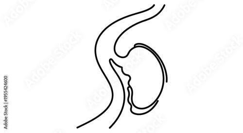 Pregnant Belly Line Drawing.