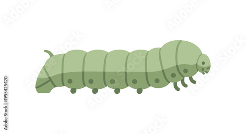 Green Caterpillar Illustration Side View.