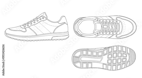 Sneaker Shoe Design Illustration.