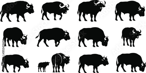 Black silhouette illustration of bison and buffalo in multiple poses, standing, walking, grazing, with calf included, representing wildlife, nature, animal posture and herd behavior