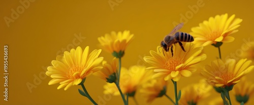 Wallpaper Mural A bee dances among golden flowers sipping nectar in the sunlight's warm embrace Torontodigital.ca