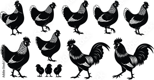Black and white poultry silhouettes of hens, roosters, and chicks in various poses for farming and design projects