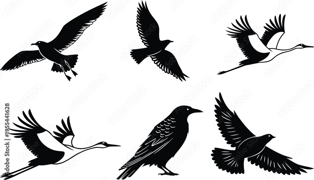 Fototapeta premium Six black silhouettes of birds in various flying positions on a white background