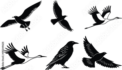 Six black silhouettes of birds in various flying positions on a white background