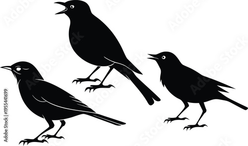 Three black silhouettes of birds standing and singing in unison