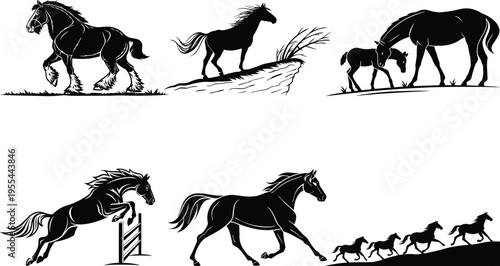 Collection of illustrations depicting horses in various poses and actions