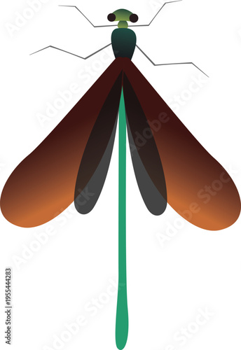 A detailed vector illustration of a Pseudocopera moth isolated on a clean background, ideal for scientific and educational use.