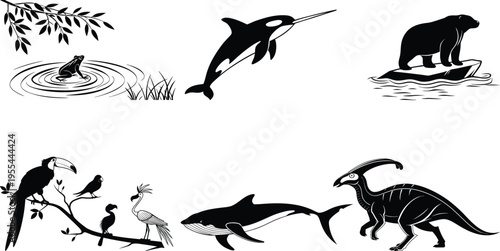 Black and white illustrations of various animals including birds dolphins shark and dinosaurs