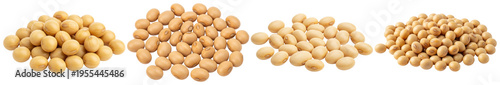 Valokuva Multiple small piles of dry soybeans with a clean texture and light coloration, isolated on a transparent background