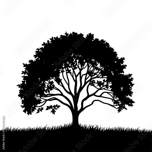 Oak tree silhouette on grassy hill, black leafy plant vector, nature landscape element for logo and branding