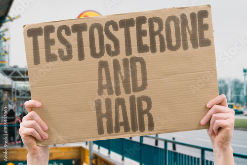 Fotografía "Testosterone And Hair" Both very high and very low testosterone can trigger hair loss in genetically susceptible individuals