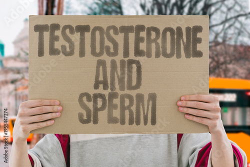 Fotografía "Testosterone And Sperm" Maintaining adequate testosterone levels is the most direct way to support ongoing healthy sperm production