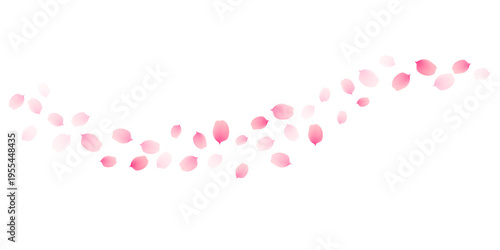 Bild auf Leinwand Sakura cherry petals, pink apricot flowers falling border