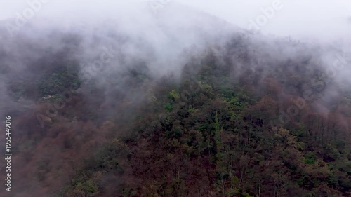Moody Fog Over Mountain Forest – Cinematic Nature Landscape