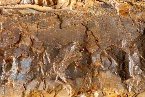 Fotografija Broken flintstone concretion background texture.