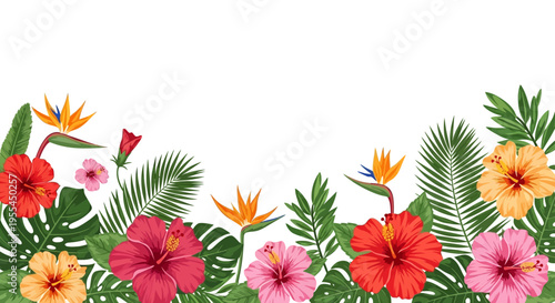 Tropical colorful flowers and leaves.