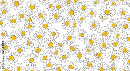 Daisies Flowers White Background Pattern.