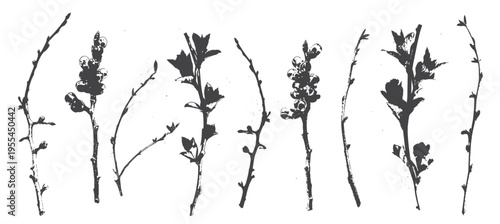 Set of black silhouettes of spring twigs and branches with buds and berries, traced from real plants. Textured grunge ink style. Isolated on white. Ideal for botanical design.