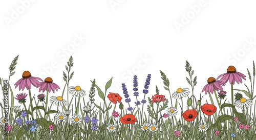 Colorful flowers in a field.