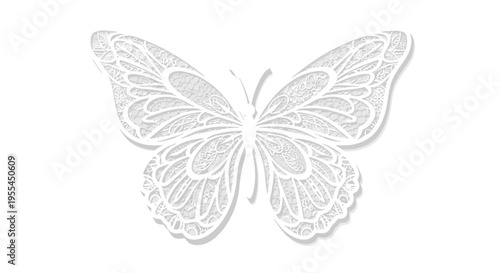 Delicate Butterfly Wings Spread Wide Open.