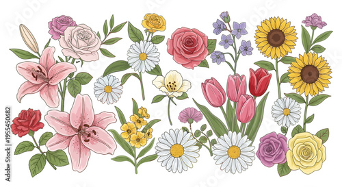 Colorful flowers on white background.