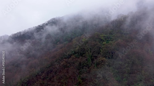 Foggy Mountain Forest with Low Clouds and Misty Landscape