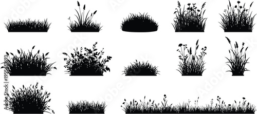 Grass and bush silhouettes set, wild meadow plants collection, decorative nature elements, botanical landscape design, black vector illustration isolated background