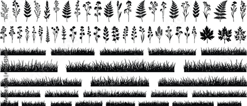 Grass and wildflower silhouettes set, botanical plants collection with borders, meadow nature elements bundle, decorative black vector illustration isolated background