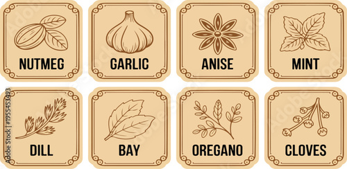 Vintage spice label vector set with hand drawn herbs including garlic, mint, oregano and cloves on natural beige backgrounds