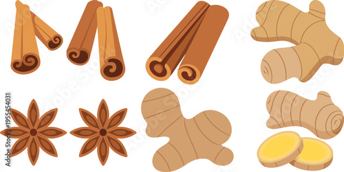 Cinnamon sticks star anise and ginger root vector illustration set isolated spice elements for cooking herbal organic ingredient design