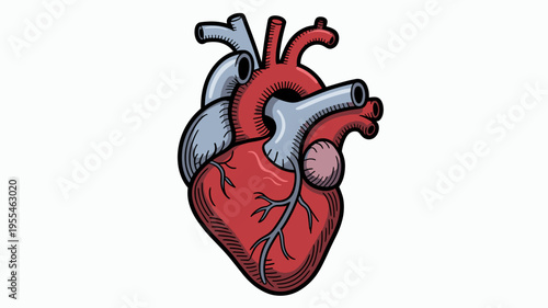 Clinical heart vector with prosthetic valves – Suitable for healthcare educational materials, surgery ads, or biotech logos.