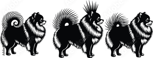 Pomeranian dog silhouette illustration, fluffy pet artwork, tail variation design concept, black and white domestic animal vector template set