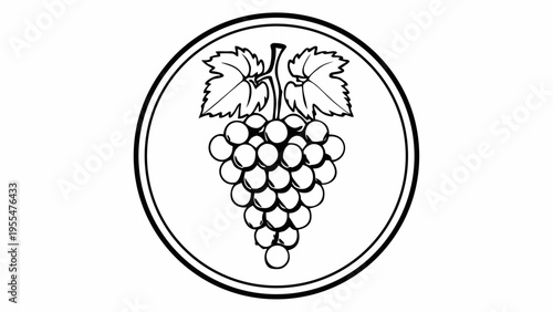 Grape cluster illustration is depicted with a simple black and white outline contained within a.