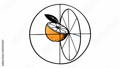 Orange half with a leaf is centrally positioned within a circular target graphic design.
