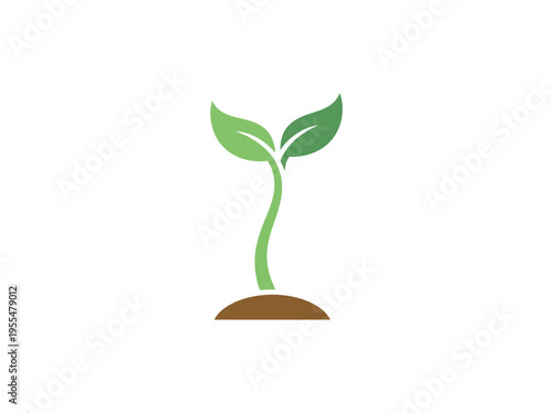 A small green plant grows out of brown soil with two leaves.