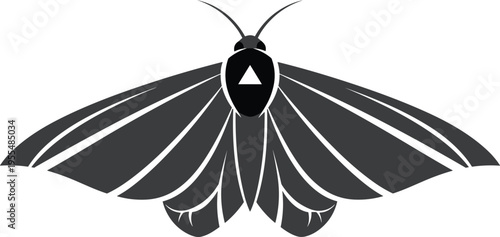 Moth silhouette illustration, insect artwork, nature design concept, black and white vector template, geometric decorative graphic collection set