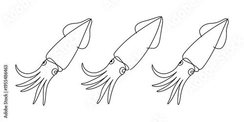 Three squids drawn in a continuous line art style on a white background for minimalist design. Vector, illustration