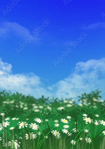 Field of daisies, small flowers in the under of sky, a digitally drawn background image in a spring concept.