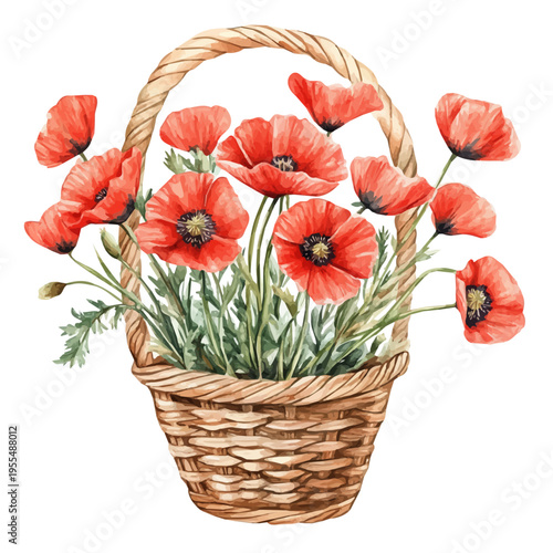 Poppy Bouquet In A Basket A, watercolor illustration featuring soft shadows and luminous, isolated on a white background.