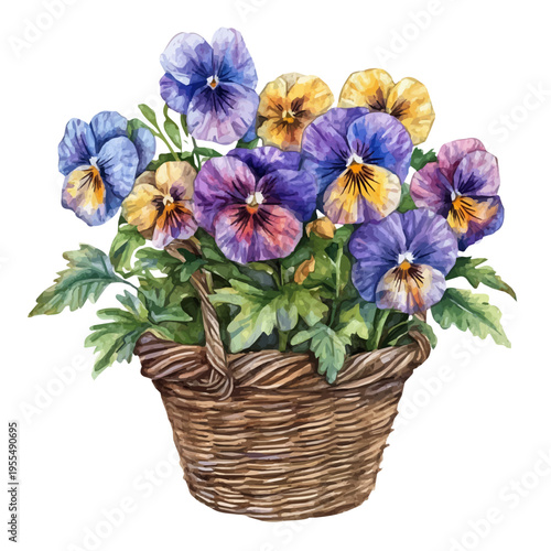 watercolor of Pansy Bouquet In A Basket A draw graphic, isolated on a white background.